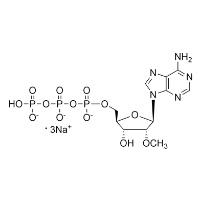 2'-OMe-ATP·Na3, 100mM Solution