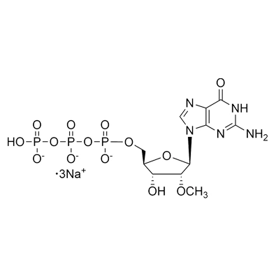 2'-OMe-GTP·Na3, 100mM Solution