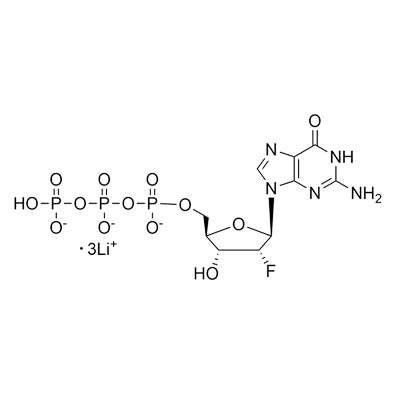 2'-F-2'-dGTP·Li3, 100mM Solution