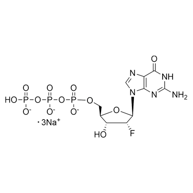 2'-F-2'-dGTP·Na3, 100mM Solution