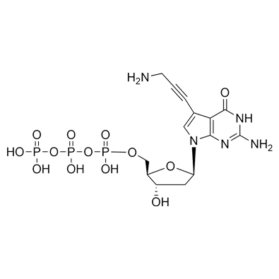 7-ap-7-Deaza-2'-dGTP