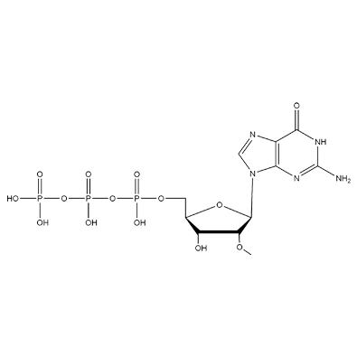 2'-OMe-GTP, 100mM Solution