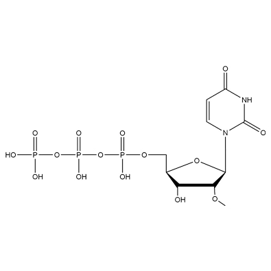 2'-OMe-UTP, 100mM Solution