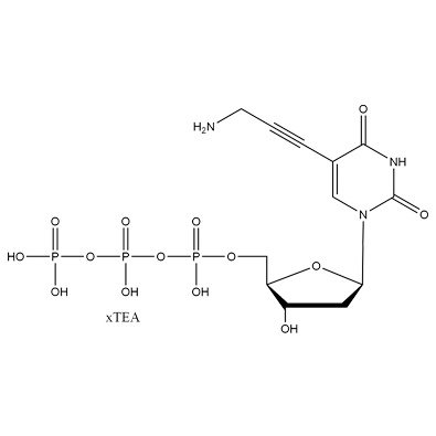 5-ap-2'-dUTP·xTEA, 100mM Solution