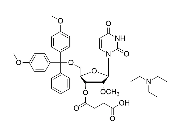 2'-OMe-rU Succinate