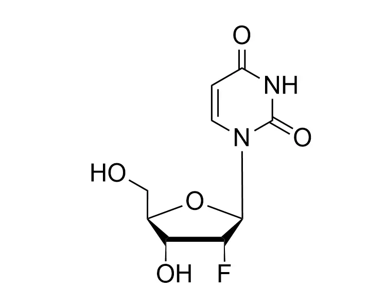 2'-F-2'-dU