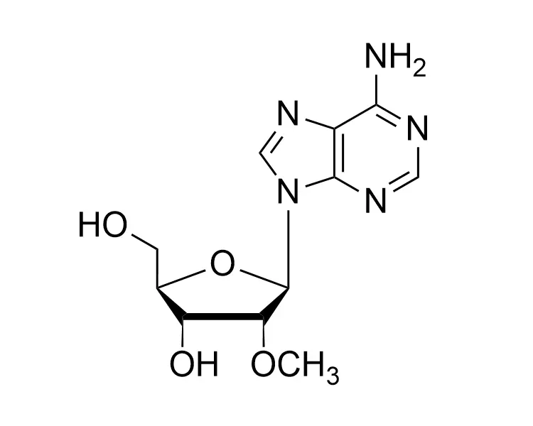 2'-OMe-rA