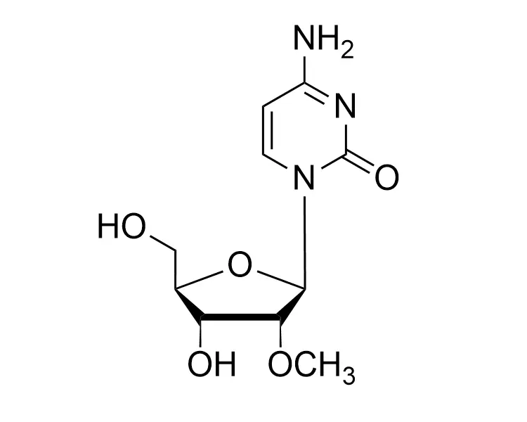 2'-OMe-rC