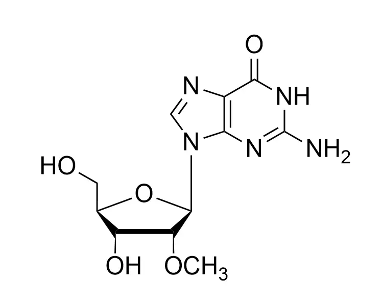 2'-OMe-rG