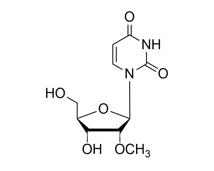 2'-OMe-rU