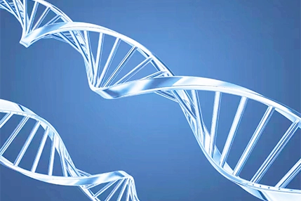 Advantages of 2'-F-dU Phosphoramidite over Other Nucleotide Modifications