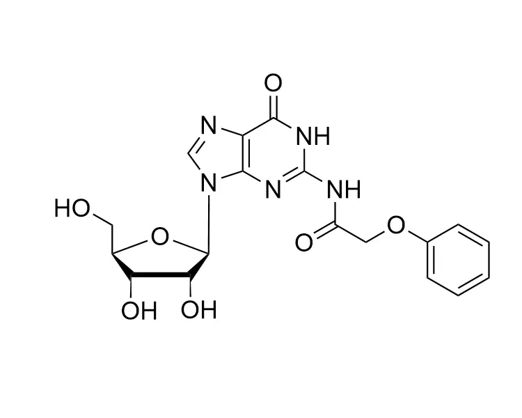 N2-PAc-rG