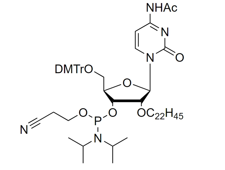 2'-O-C22-C(Ac) Phosphoramidite