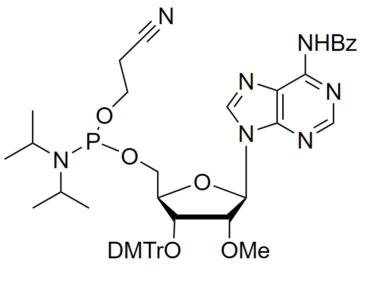 2'-OMe-A(Bz)-CE-Reverse Phosphoramidite