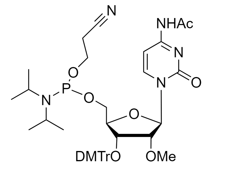 2'-OMe-C(Ac)-CE-Reverse Phosphoramidite