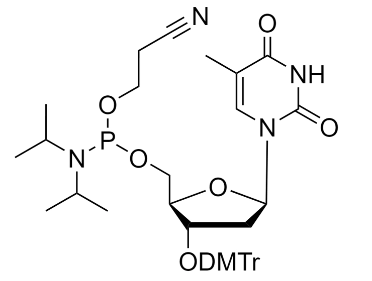 dT-CE-Reverse Phosphoramidite