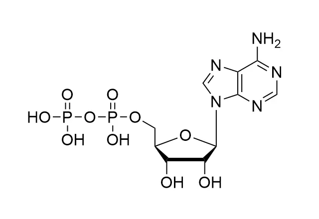 ADP·Free Acid