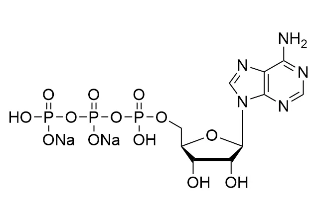 ATP·Na2, 200mM Solution