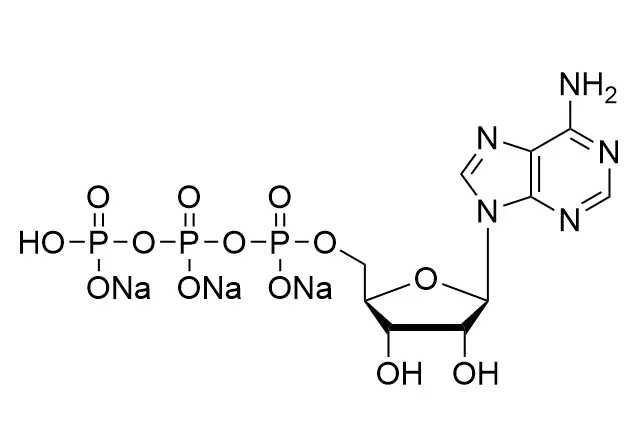 ATP·Na3, 100mM Solution HR-00301035