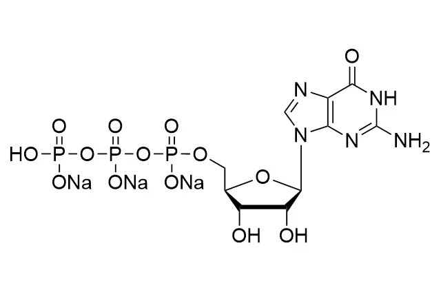 GTP·Na3, 100mM Solution HR-00301037