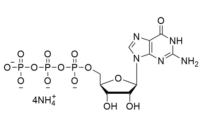 GTP·4NH4 Salt, 200mM Solution HR-00301026