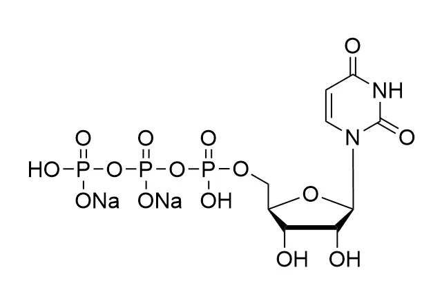 UTP·Na2, 200mM Solution