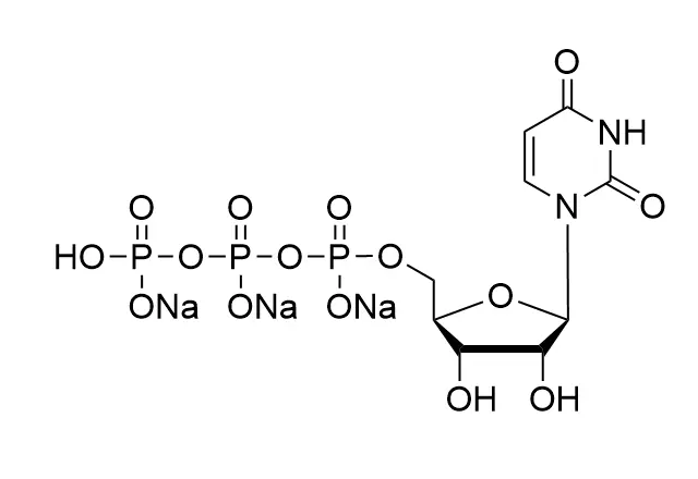 UTP·Na3, 100mM Solution HR-00301038