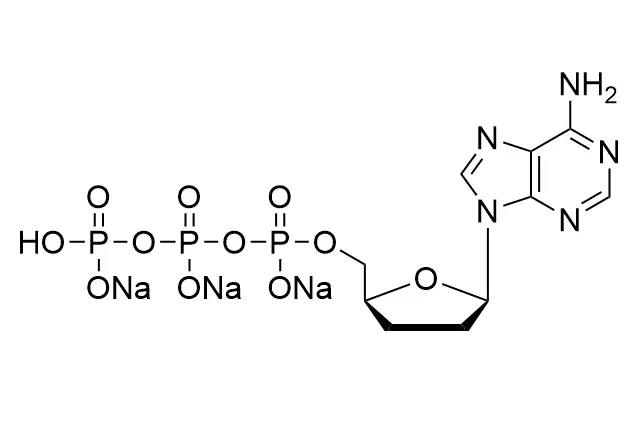 ddATP•3Na 100mM