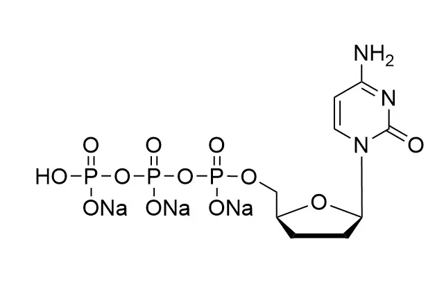 ddCTP•3Na 100mM