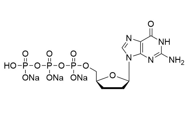 ddGTP•3Na 100mM