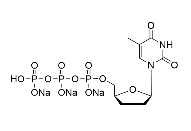 ddTTP•3Na 100mM